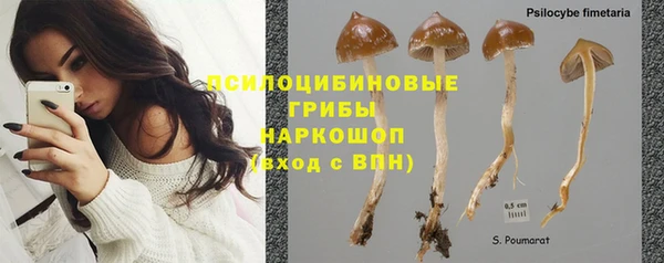 альфа пвп Протвино
